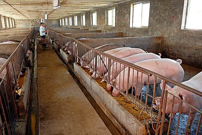 養豬場(chǎng)廢水處理